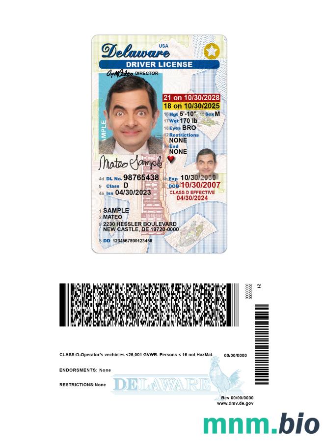 USA Delaware under 21 szablon prawa jazdy w formacie PSD, ze wszystkimi czcionkami
